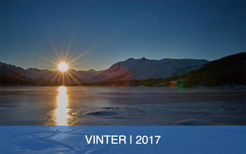 Vinter 2017
