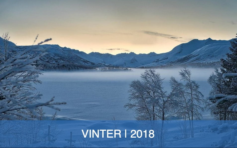 Vinter 2018