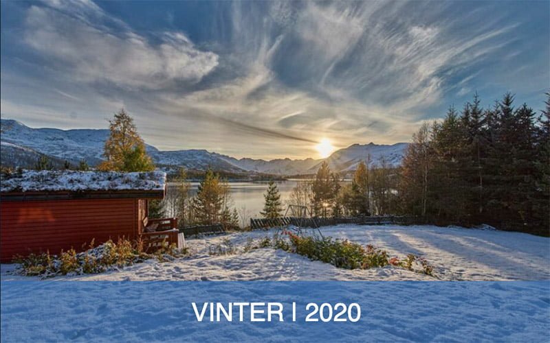 Vinter 2020
